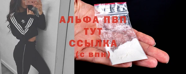 мяу мяу мука Новозыбков