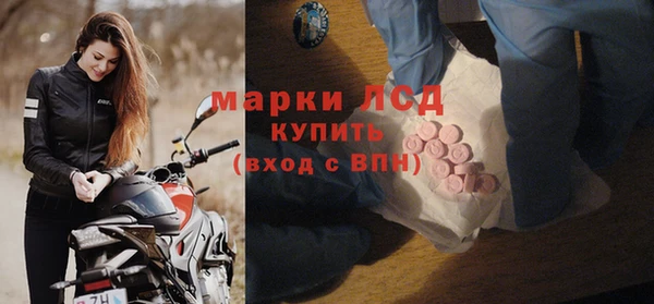 мяу мяу мука Новозыбков